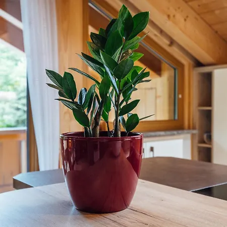 公寓 Zur Wally, Sunnig *