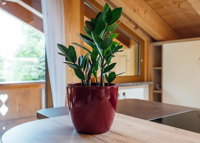 Appartement Zur Wally, Sunnig *